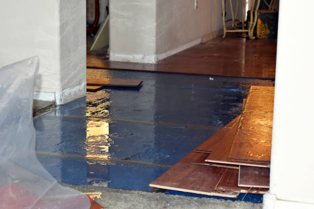 Professional Basement Flood Cleanup technician working in Grand Coulee, WA
